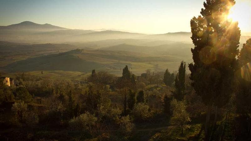 Carbonless Paper Image 2