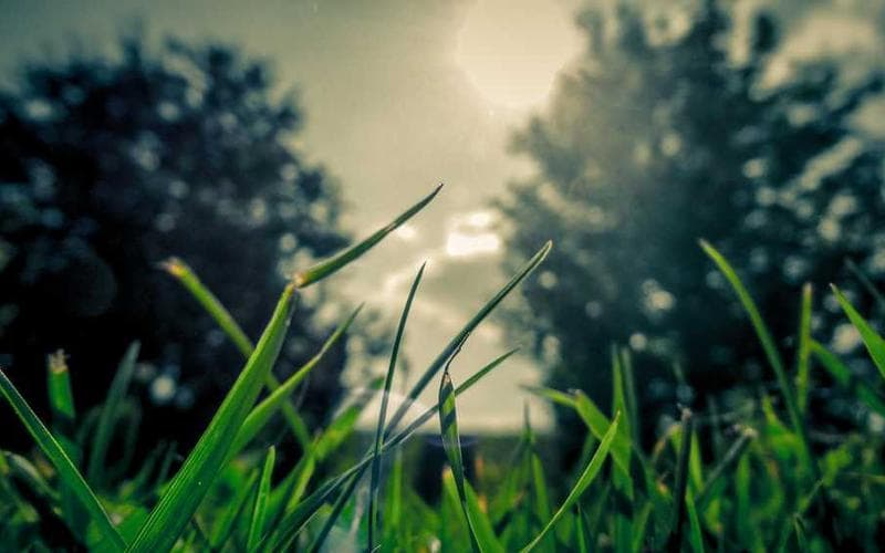 Glassine Paper Image